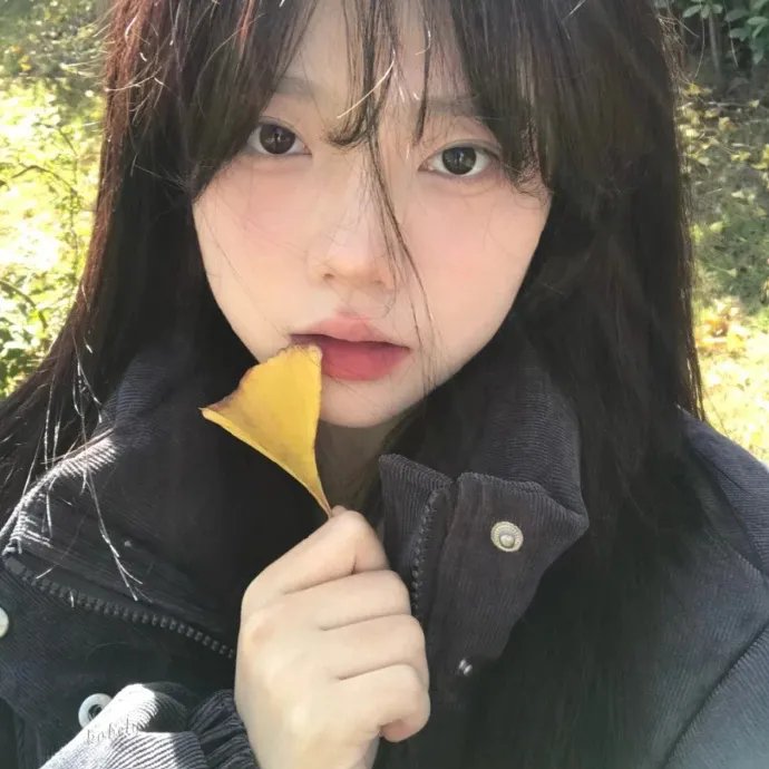 纽约爱音鳄